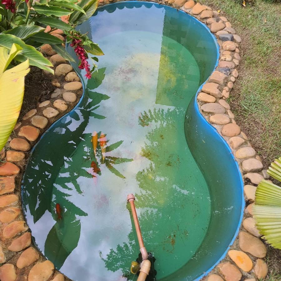 Dalas Village Villa Marau (Bahia)